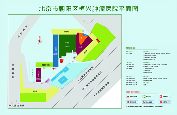 逼逼操逼逼北京市朝阳区桓兴肿瘤医院平面图